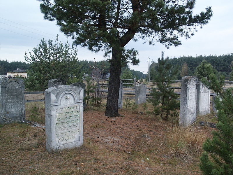 Zwierzyniec - miasto w województwie lubelskim, pow. zamojski, cmentarz żydowski